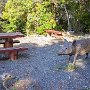 ３０分で山頂。結構整備されている。